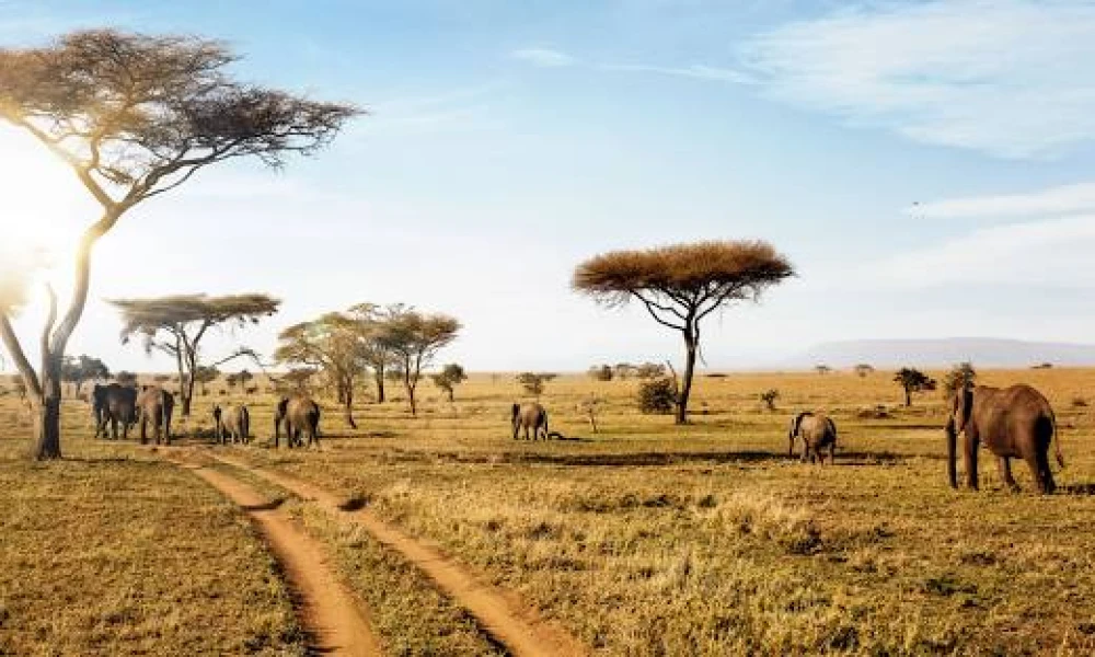  NORTHERN CIRCUIT & CULTURAL SAFARI: MAASAI & HADZABE ADVENTURE FROM KIA