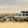 Private Serengeti and Ngorongoro Signature Safari.
