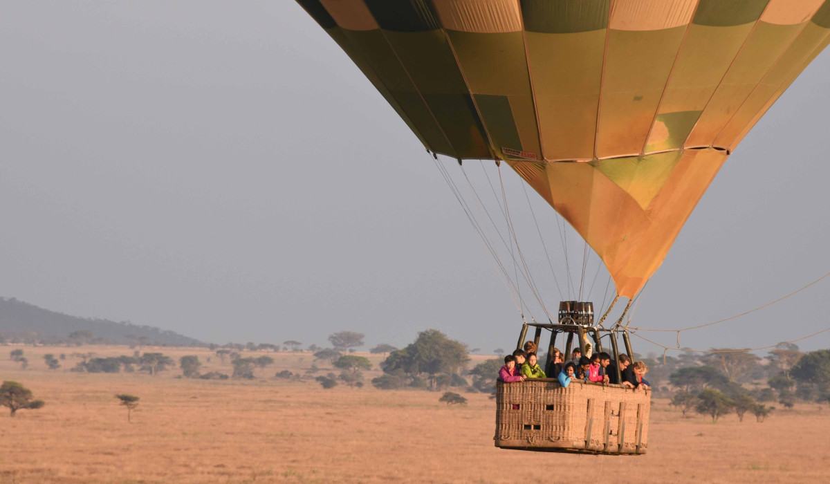 Golden Our Story Born from a Passion for the Wild