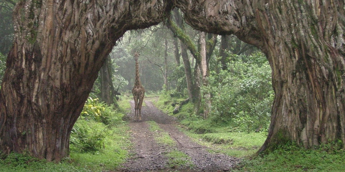 Arusha National Park