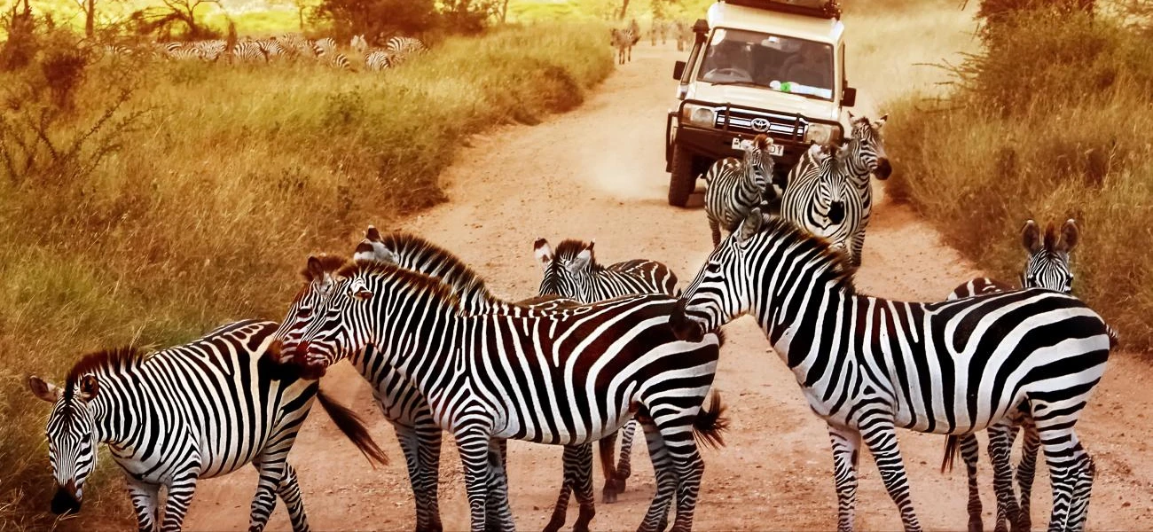 Explore Tanzania Like Never Before