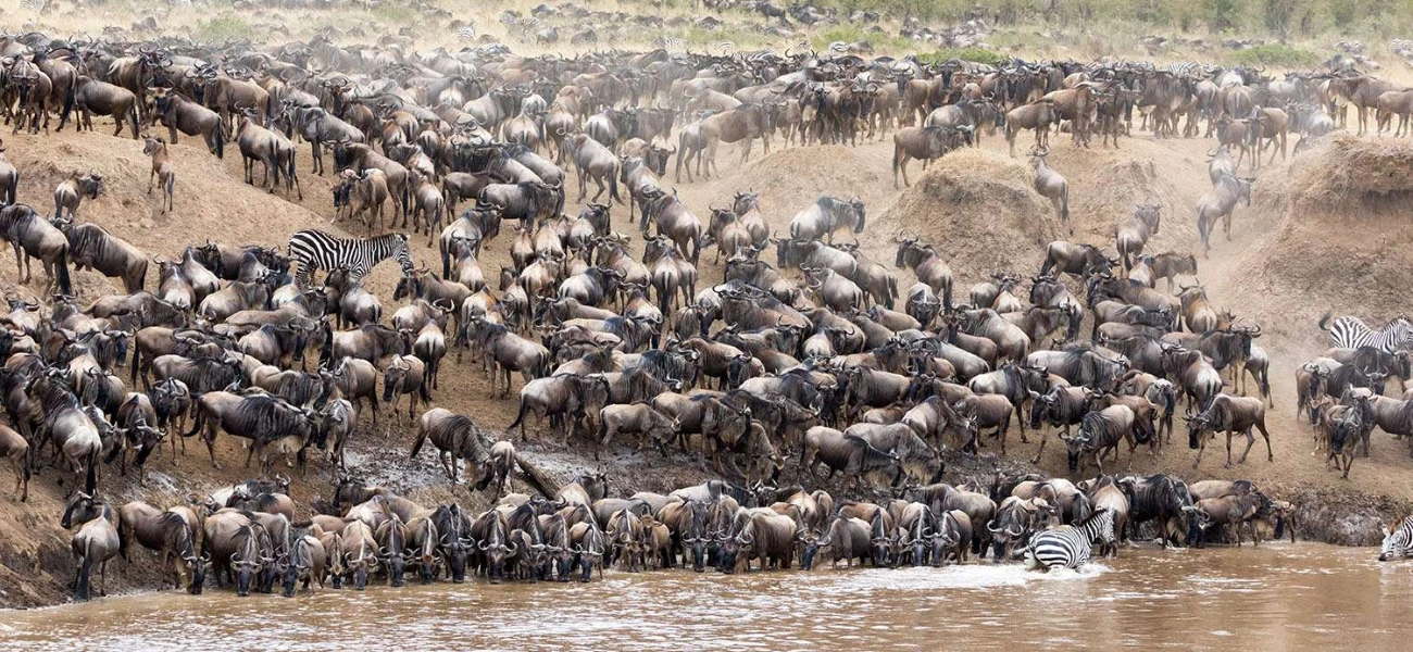 Travel Deeper. Travel Golden in Tanzania.