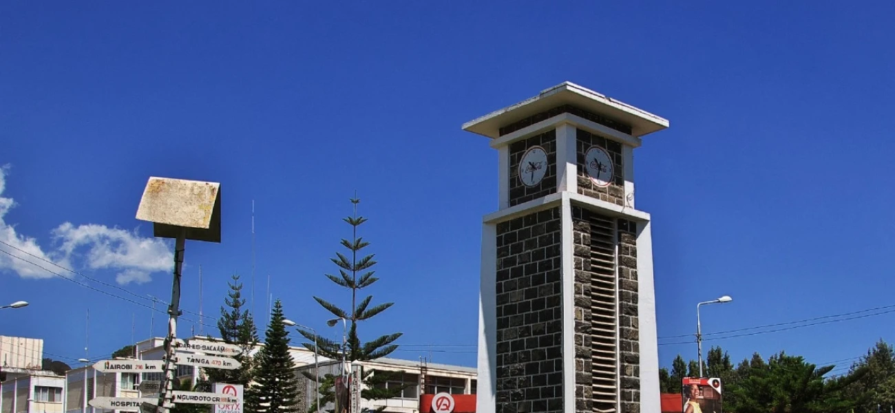 Wildlife Safari with Materuni Waterfalls & Coffee Experience.